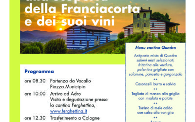 Una giornata alla scoperta della Franciacorta e dei suoi vini.